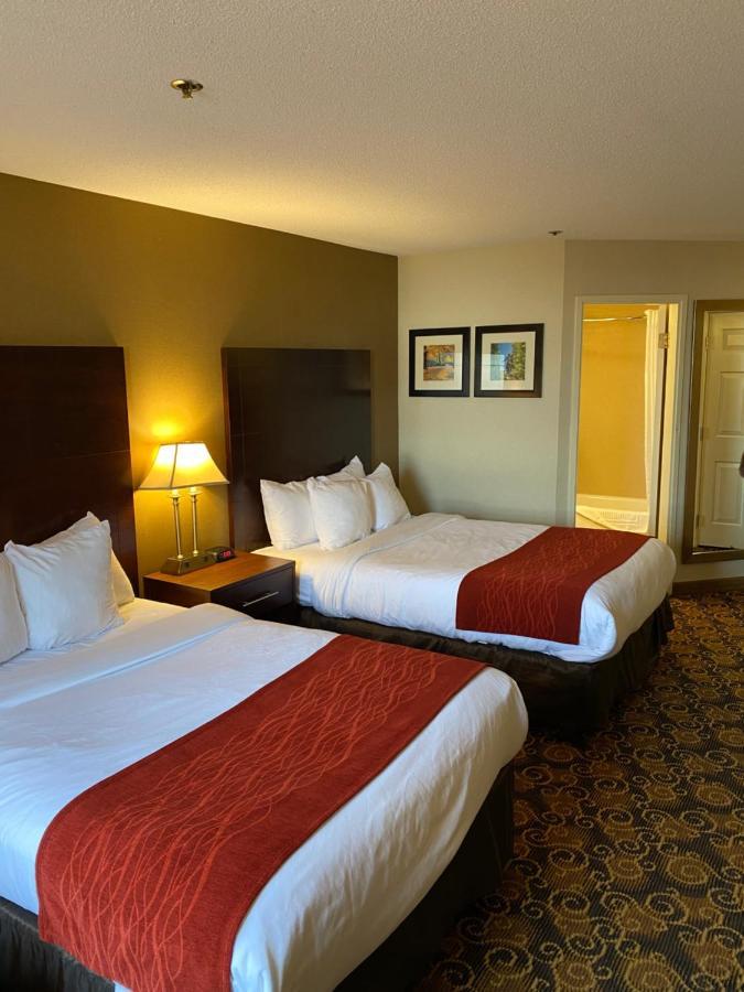 Comfort Inn Rockland - Boston Exteriér fotografie